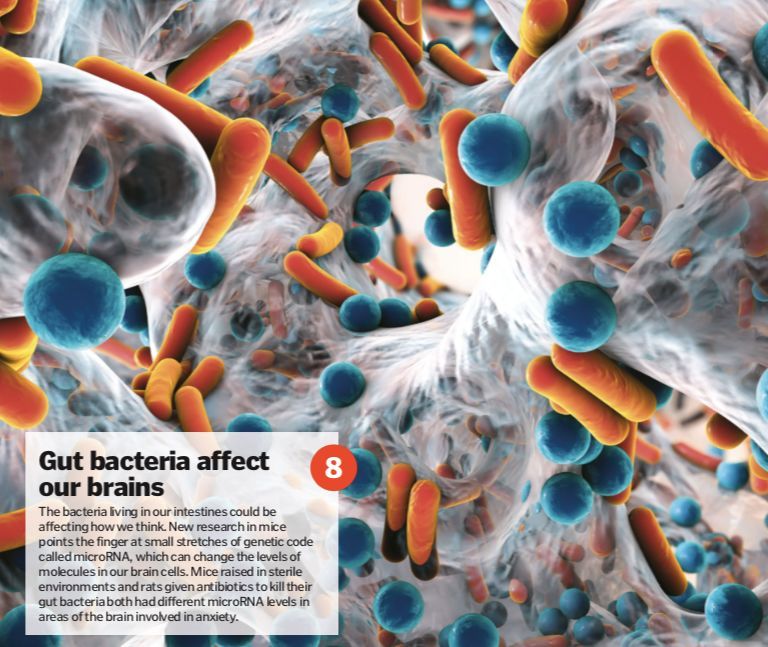 人类最致命的天敌,人类自相残杀的基因