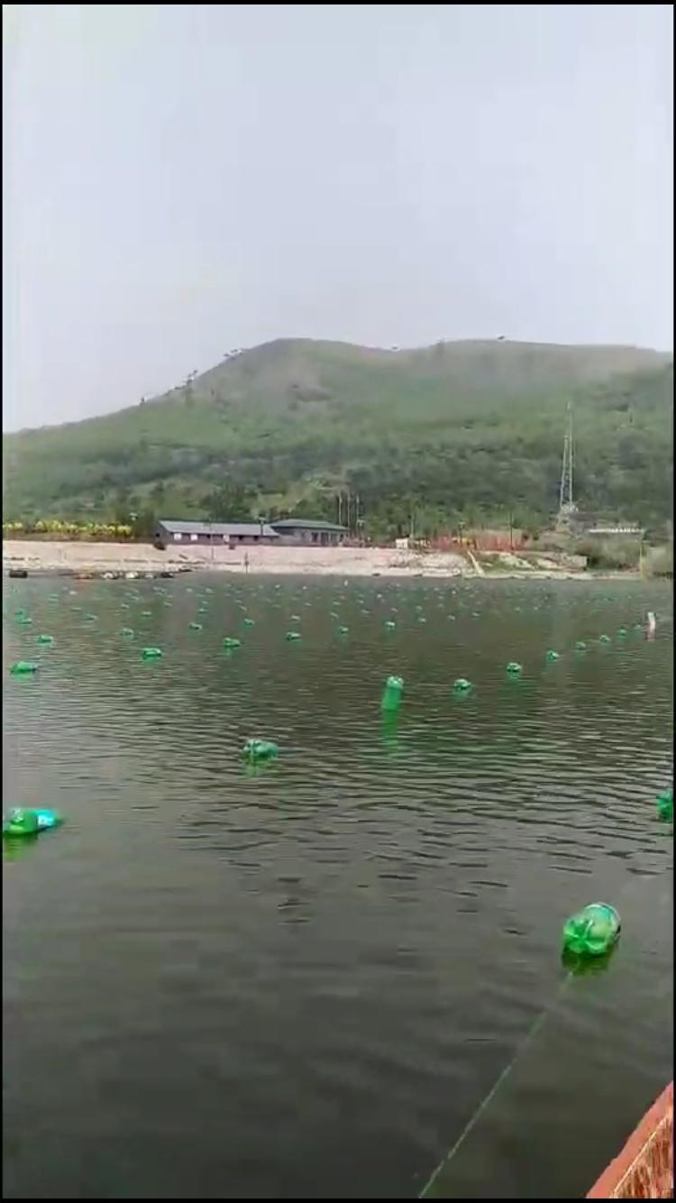 辗转数百年，北珠落户秦皇岛