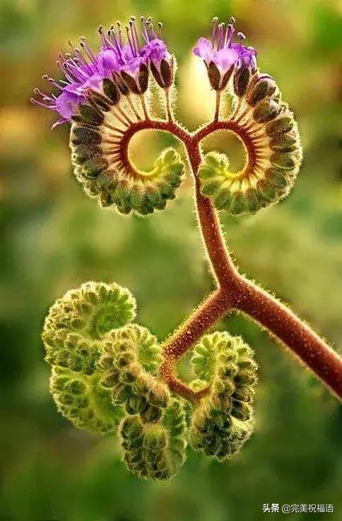 六一相册影集,六一照片专场