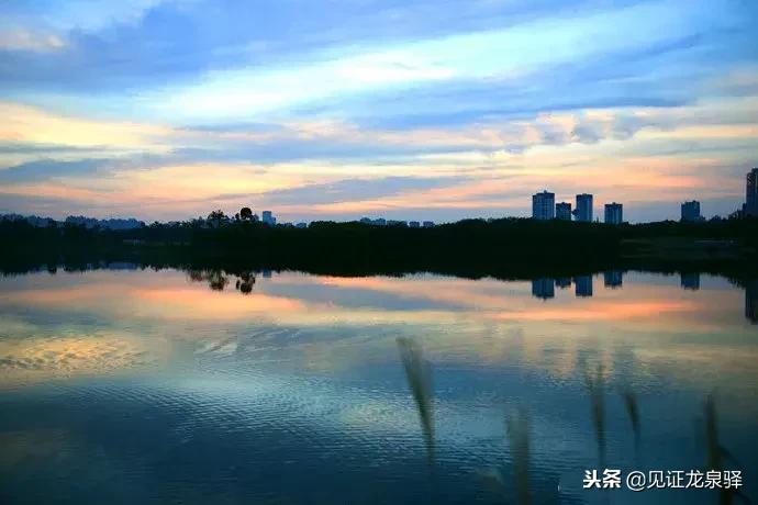 打卡青龙湖湿地公园,青龙湖湿地公园拍照技巧