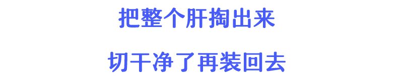 把肝脏取出来,把肝取出来会怎么样