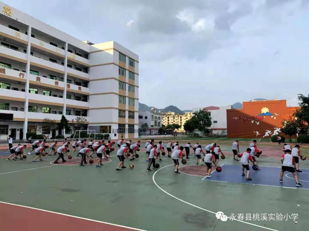 动起来，桃溪少年！——泛阳光体育之舟，展桃溪学子风采