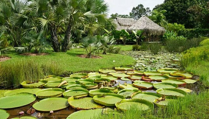 良心推荐|1月高性价比出行,附出行指南和必游景点