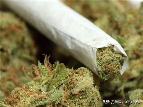 “瘾君子”就在附近，吸了*毒冰**、*粉K**、*洛因海**的人会做哪些事？