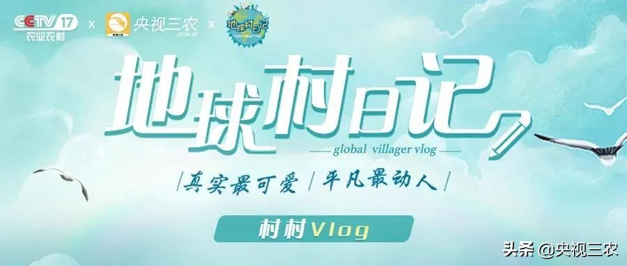 臭屁醋致癌发酵时很臭,臭屁醋很酸