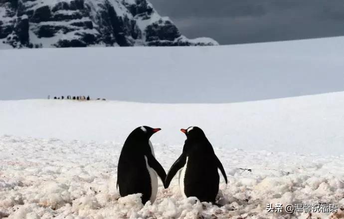 今天3月10，我的妈呀！谁编的，太好笑了，给群里乐一乐