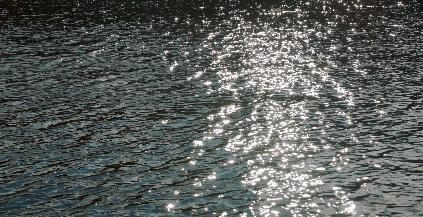 意识上传到数字天堂?终于有人拍出了这个脑洞