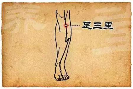 吃什么东西可以改善脾胃虚寒,跑步能改善脾胃虚寒吗