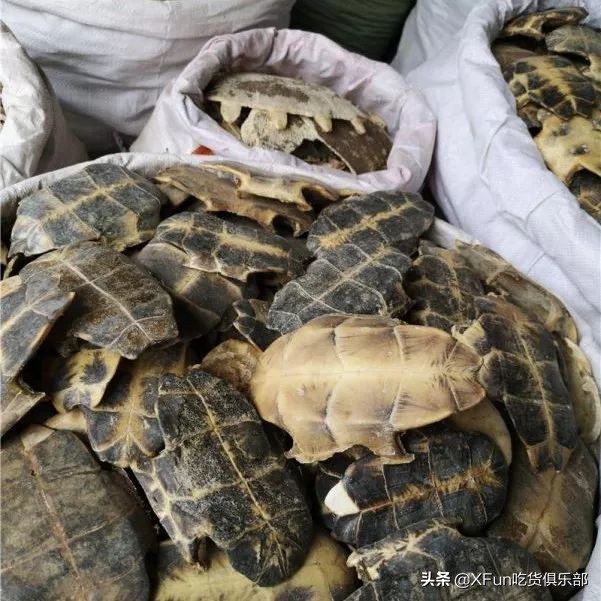 食物届隐藏魔术师！骗你没商量