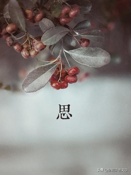 一颗红豆背后的疑问号