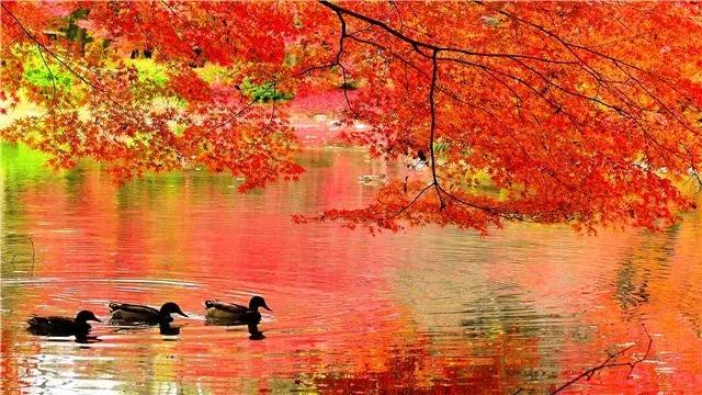 辽宁旅游景点推荐3天自由行,辽宁学生旅游景点推荐