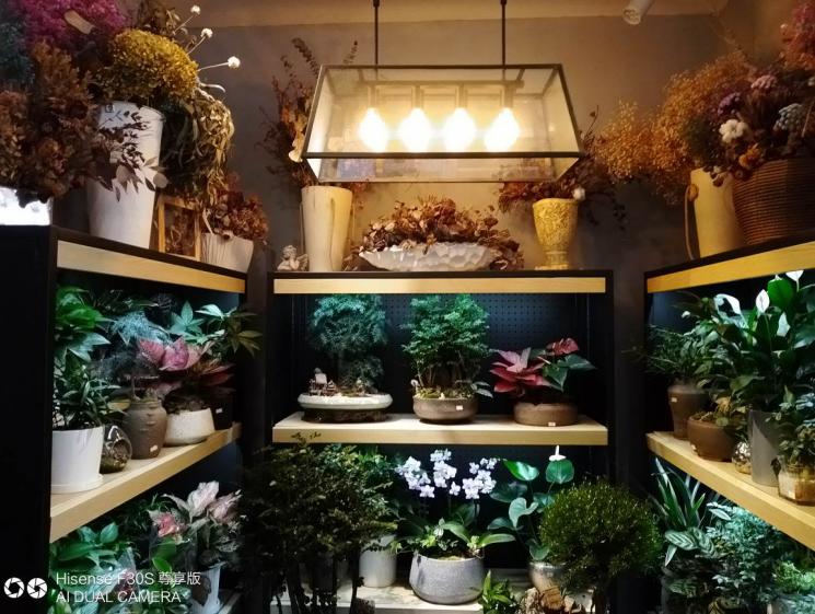 千元机性价比最高的手机不发热,千元机性价比激光炮