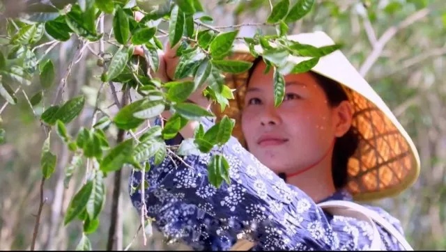 东家app让传承成为潮流,东家app如何成为匠人