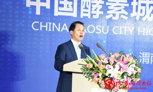 中国酵素城核心区,中国酵素城规划