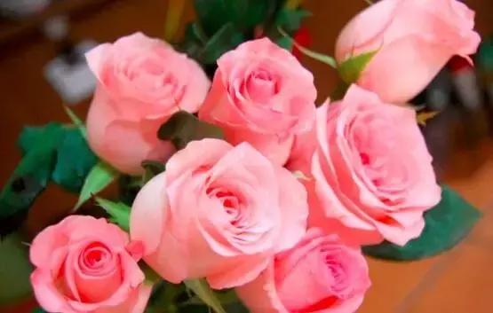 玫瑰大全|说到玫瑰只能想到红玫瑰的,建议你好看看本文!