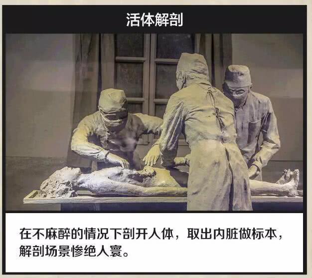 电影黑太阳731解剖是真的吗,电影黑太阳731恐怖片段