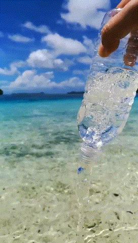 帕劳金色水母,帕劳水母旅行