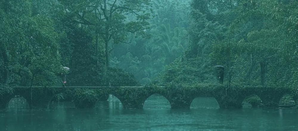 2020年摄影点评部分低分照片合集(下)(前方大量熊猫出没)