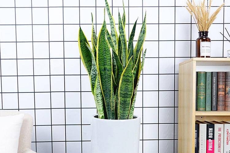 空调房如何给皮肤保湿补水呢,冬季空调屋怎么补水