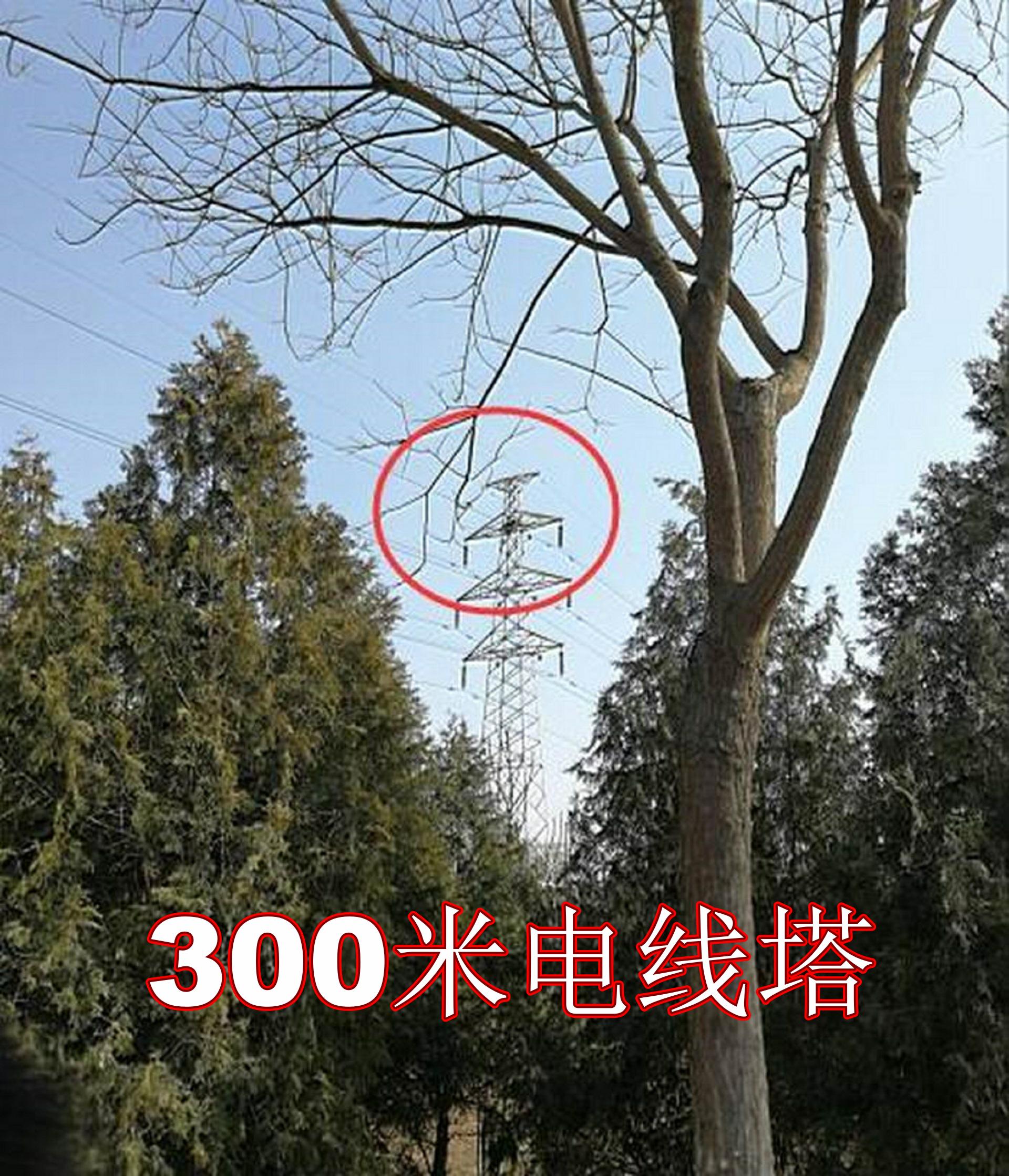 我国88式军用望远镜,国产63式军用望远镜