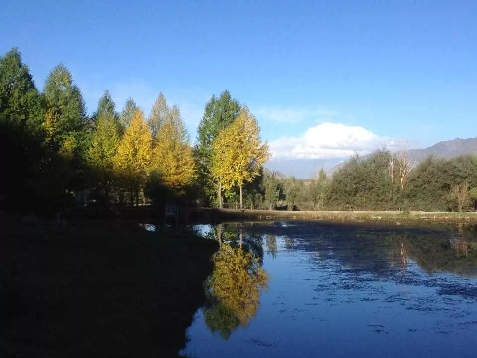 2020年进藏最新100问，你有几个问？看了对你进藏有99个帮助