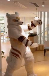 杂图系列（*男猛**系列：兽人furry第一弹）#1