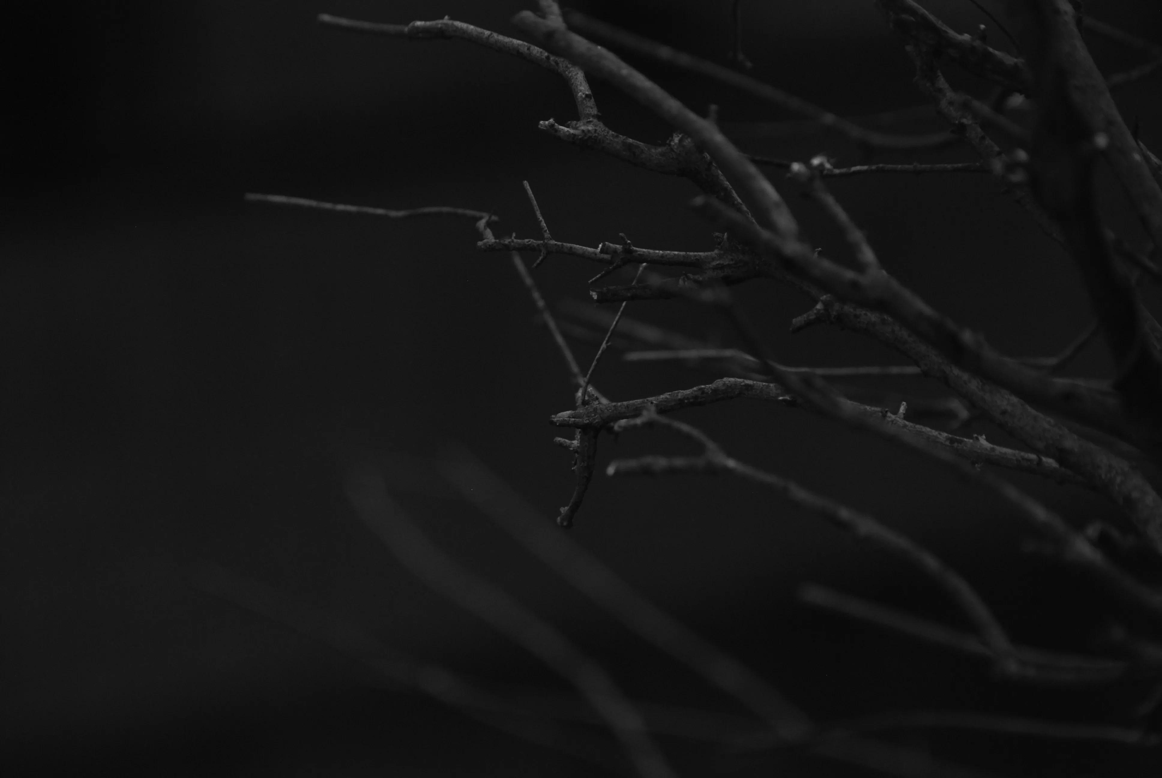 1000多的二手单反值得买吗,1000元左右二手单反全画幅