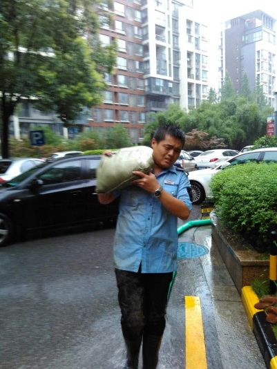 金地格林小城生活,金地格林小城花园