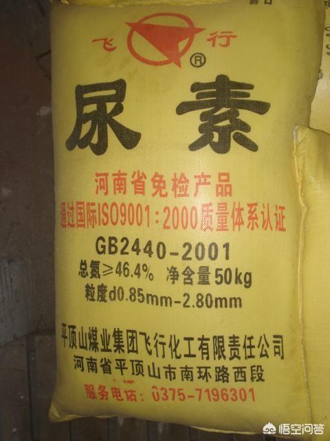 果树膨果期多少天浇一次水合适,膨果着色期阴雨对果树的影响