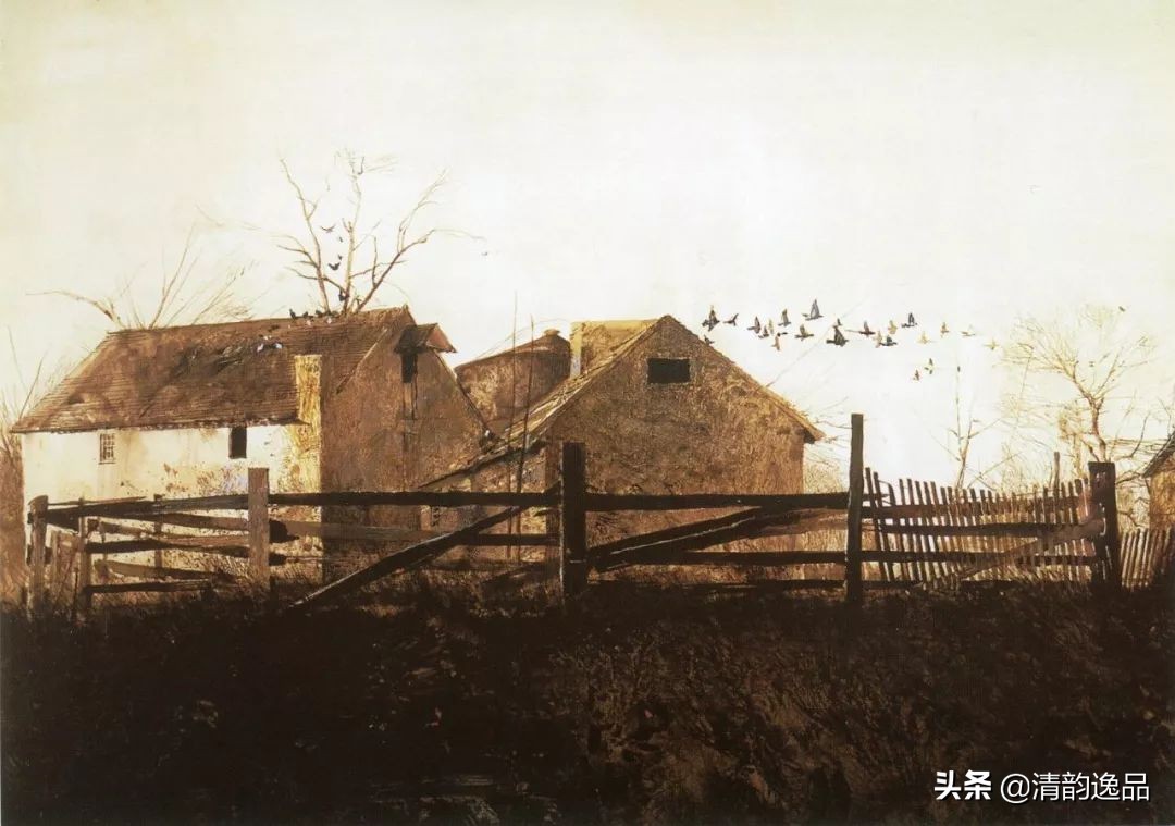 类似安德鲁怀斯的画家,安德鲁怀斯画家视频