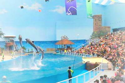 天津市区一日游最佳景点一览表,天津旅游攻略最新路线推荐