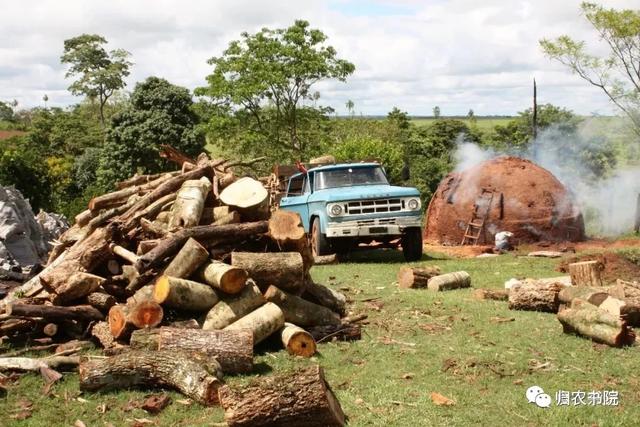 中国年年进口的大豆，为何让巴拉圭从富饶变得死寂？