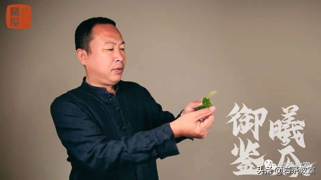 茶界大佬的商业机密,茶圈大佬的白茶