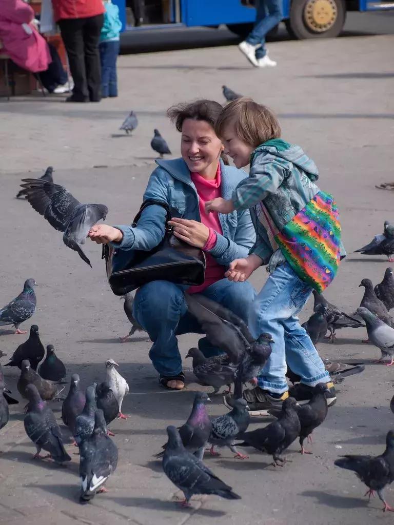 一直被我们忽略的那个离我们很近的欧洲