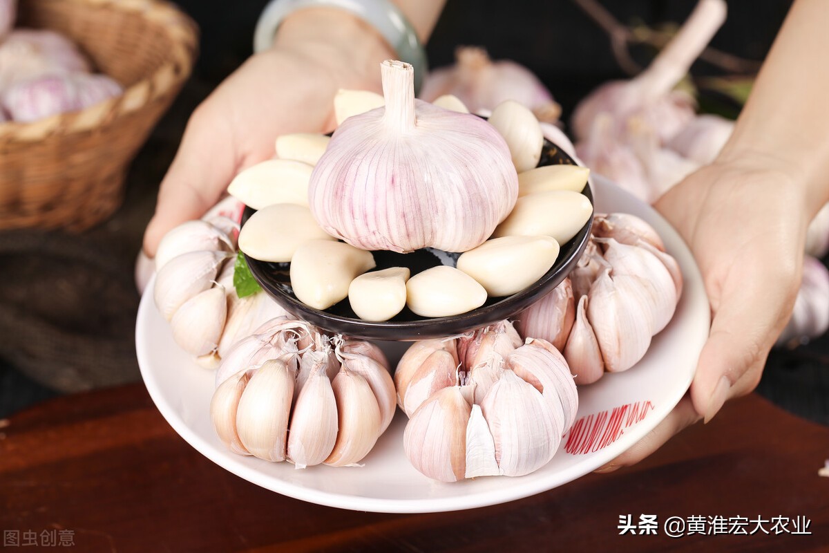 中国大蒜为什么这么火,中国大蒜靠啥吸引140多个国家地区
