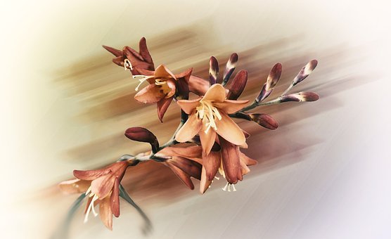 药学博士护肤品选择,药学博士眼里的护肤品