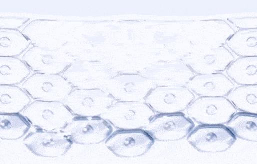 egf冻干粉真的能买吗,egf冻干粉怎么鉴定真伪