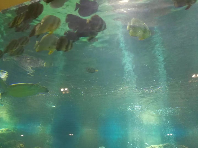 三亚旅游全攻略三亚亚龙湾,三亚一家老小海滩攻略