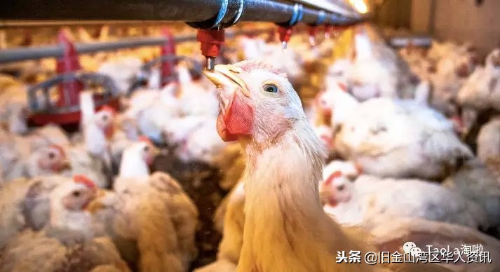 costco的补剂,costco取消6种食物