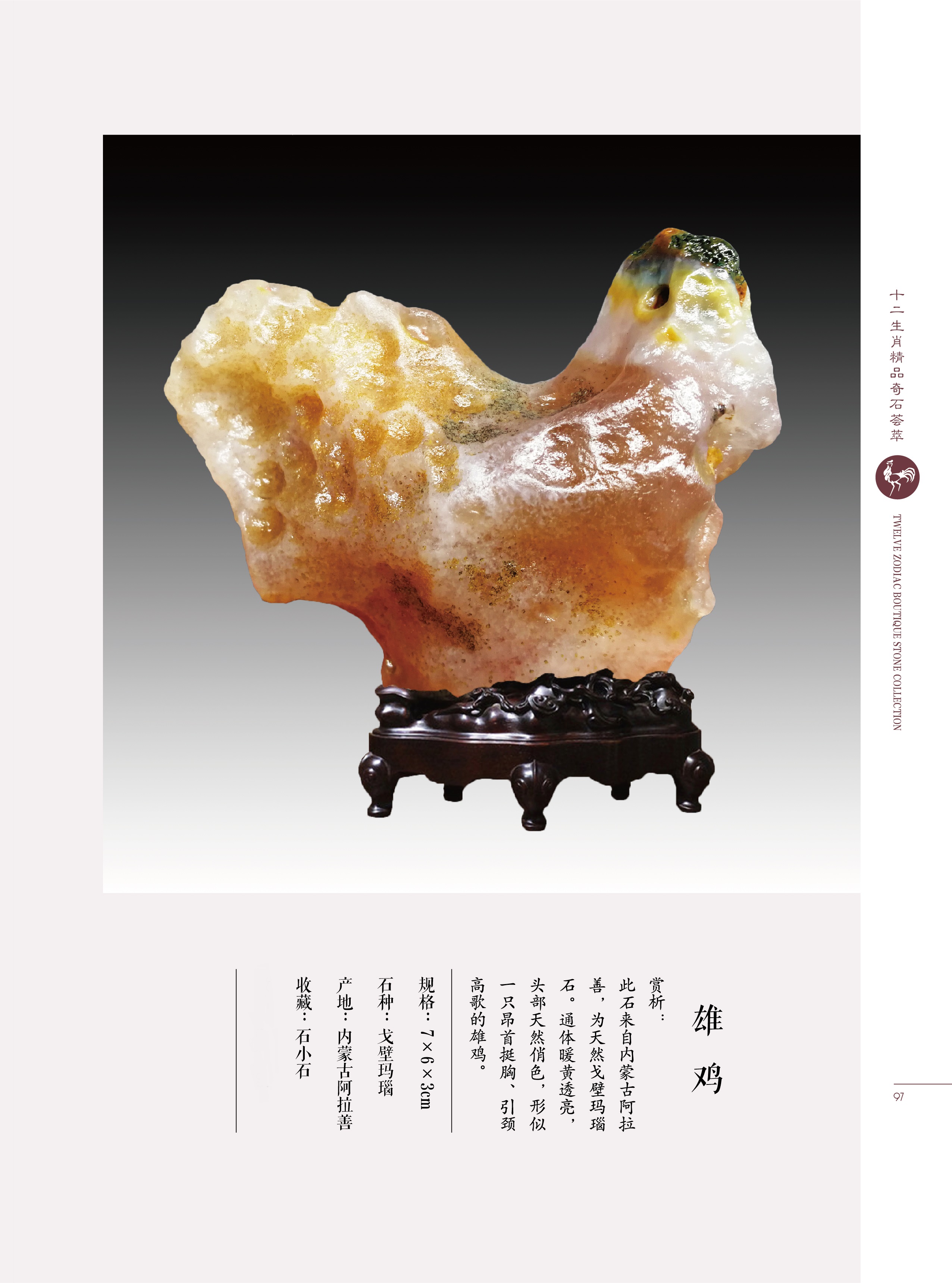 难道猴子真是石头变的?