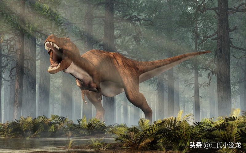 霸王龙和巨齿鲨的咬合力哪个厉害,4个霸王龙的咬合力加起来有多大