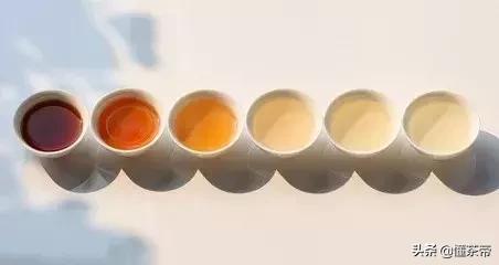 六大茶类营养成分测评,茶里富含的营养成分有哪些