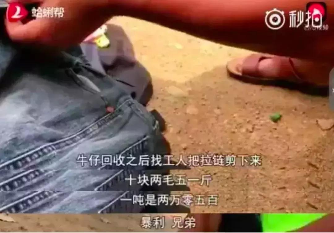 交易猫被央视曝光,收养流浪狗的真实记录