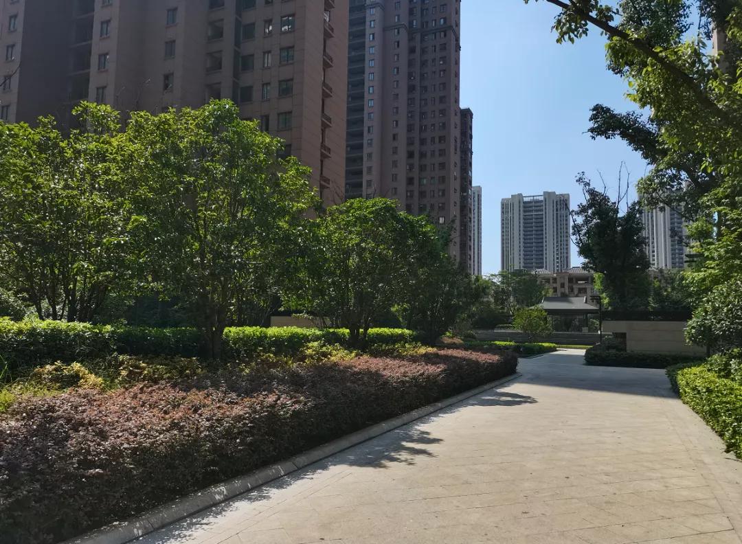 实探阜阳高速“宝藏小区”！细节走心，物业一致好评