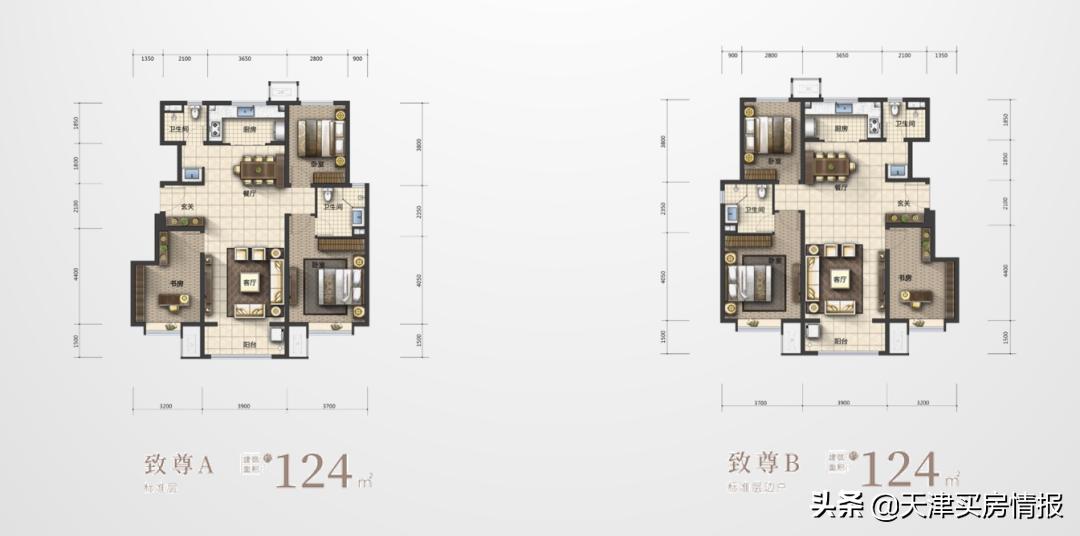 教育焦虑症怎么治？这个进化的天津市区大盘提供了新思路