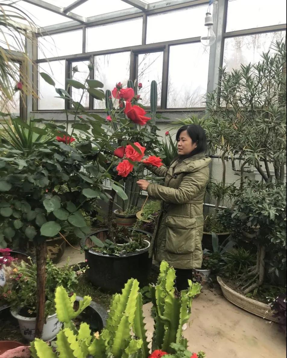 北京失能失智老人养老院,北京护工照顾80岁老人能自理