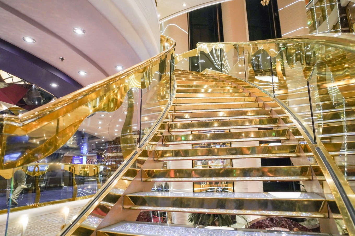 海上养猪场邮轮,海洋光谱号邮轮海上养猪场