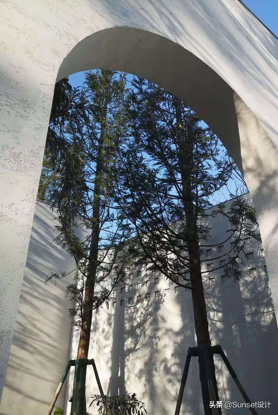 幽居在闹市潜游天地间,闹市寻幽处雅意上心头