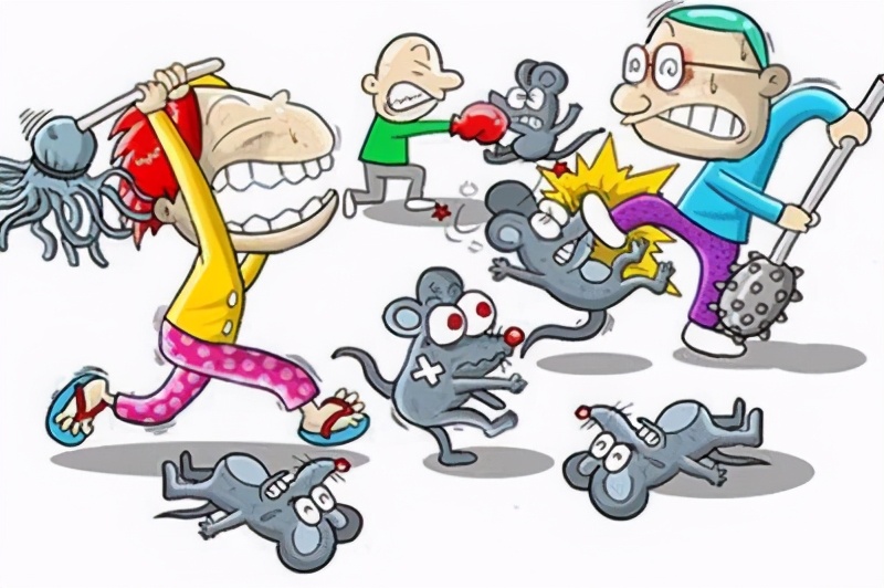 肾综合征出血热防治知识