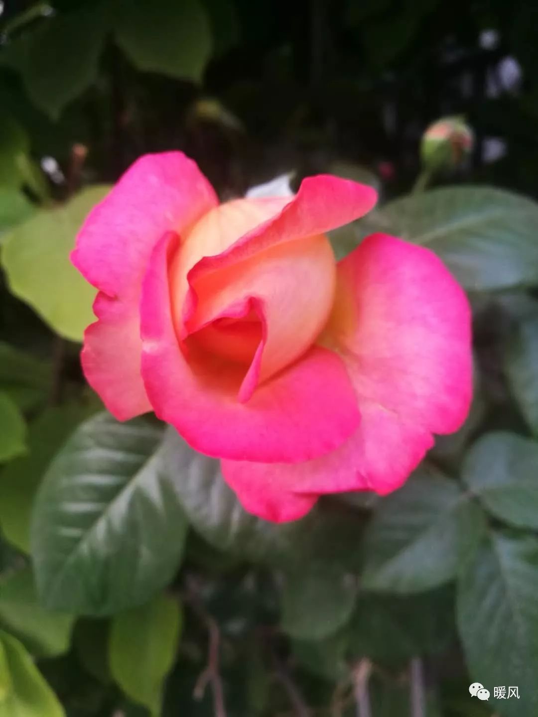 聪明的女人怎么对待暴力老公,聪明的女人怎么面对男人不回消息